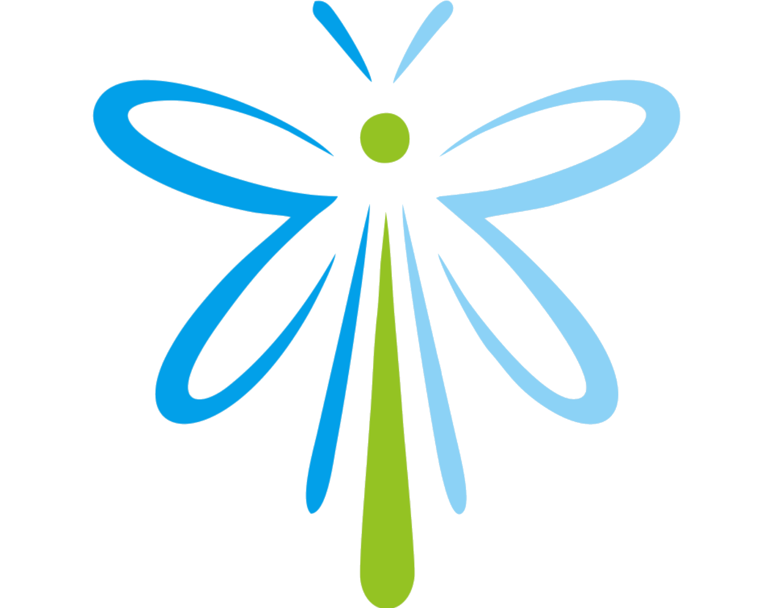 A libélula, ícone da Purificati